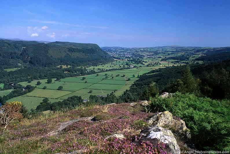 Image of Conwy Valley Near Betws-y-Coed