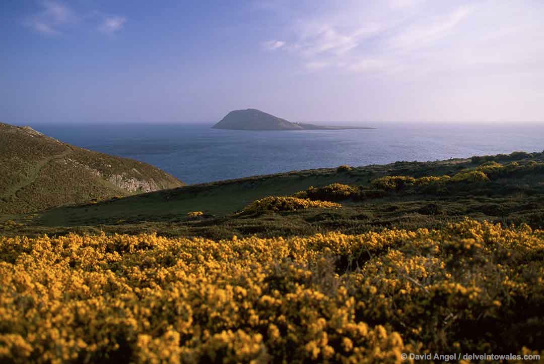 Image of Bardsey Island off the north-west coast of Wales