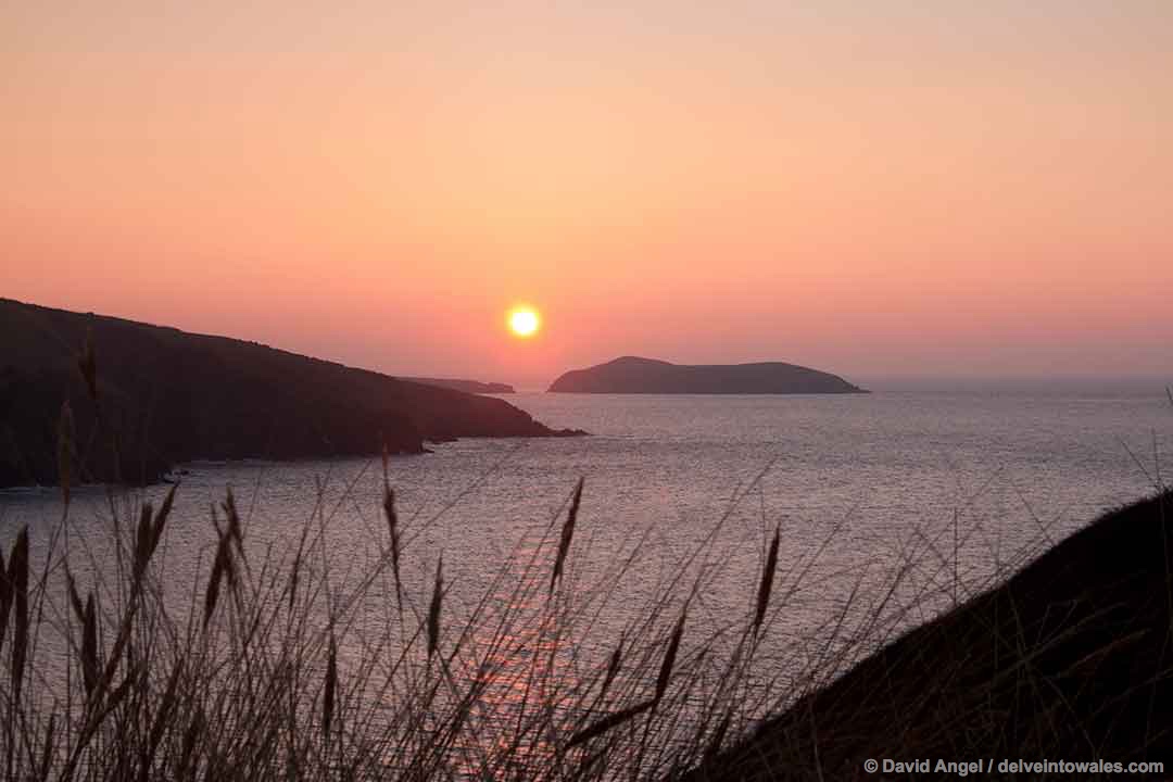 Image of Cardigan Island at sunset