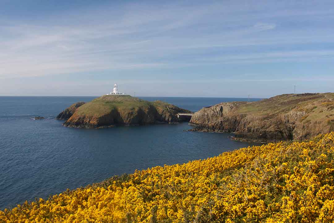 Image of Strumble Head lighthouse in north Pembrokeshire