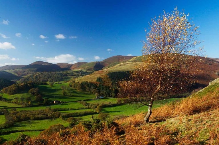 Best Places to See Autumn in Wales Image of scenery near Llangollen North Wales