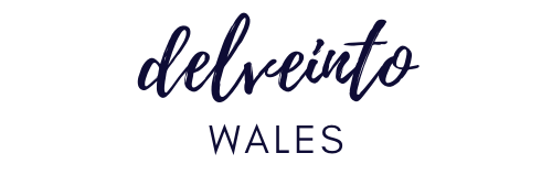 image of delveintowales logo